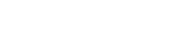 DSV_Logo_white