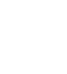 multitrans_dsv_logo