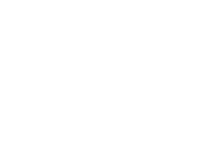 Logo_multitrans_white