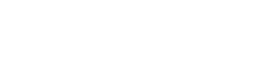 DSV_Logo_white